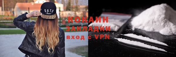 винт Ельня